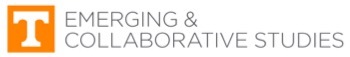 College of Emerging and Collaborative Studies (CECS)